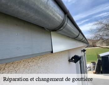 Réparation et changement de gouttière 71 Saône-et-Loire  MCH Habitat