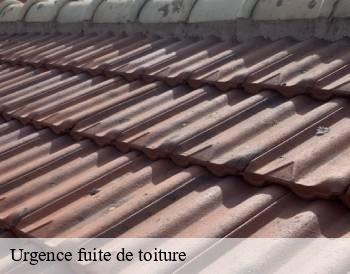 Urgence fuite de toiture  chaintre-71570 MCH Habitat