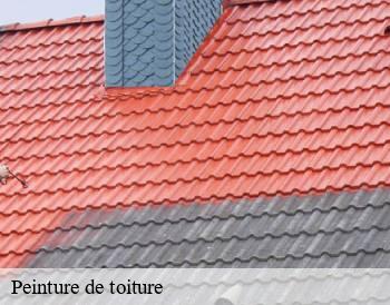 Peinture de toiture  anzy-le-duc-71110 MCH Habitat