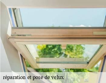 réparation et pose de velux    MCH Habitat