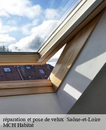 réparation et pose de velux    MCH Habitat