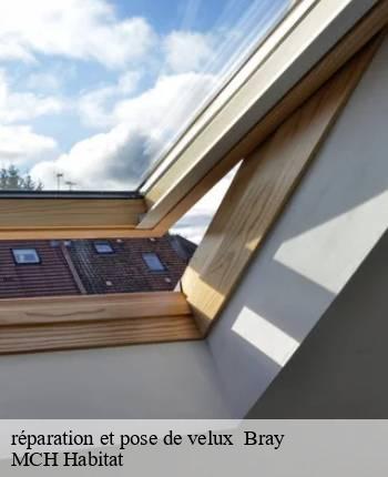 réparation et pose de velux   bray-71250 MCH Habitat