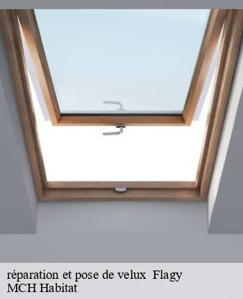 réparation et pose de velux   flagy-71250 MCH Habitat