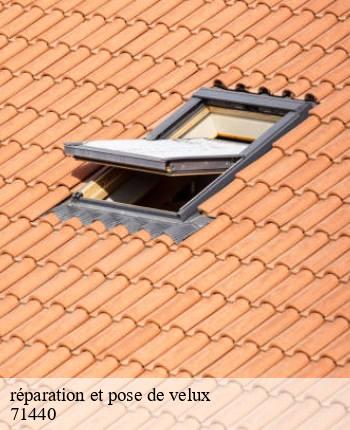 réparation et pose de velux   saint-andre-en-bresse-71440 MCH Habitat