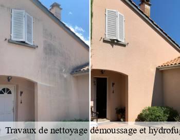 Travaux de nettoyage démoussage et hydrofuge de toiture et façade   MCH Habitat