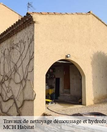 Travaux de nettoyage démoussage et hydrofuge de toiture et façade  la-chapelle-au-mans-71130 MCH Habitat