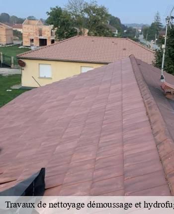 Travaux de nettoyage démoussage et hydrofuge de toiture et façade  chenay-le-chatel-71340 MCH Habitat